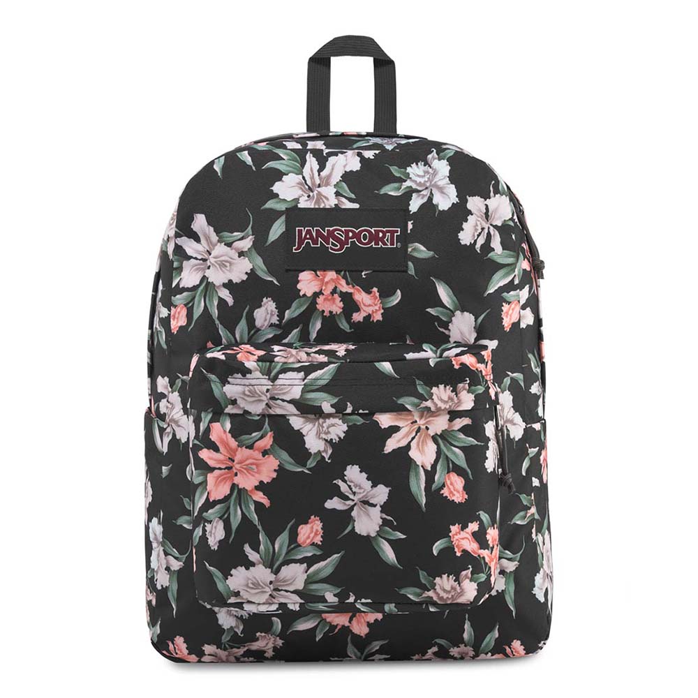 Ashbury em Mochilas – jansport