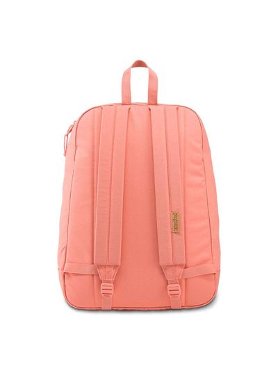 47KZ78W-3.jpg?v=638756638951900000